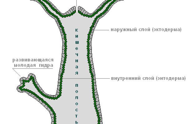 Кракен официальное зеркало 2024